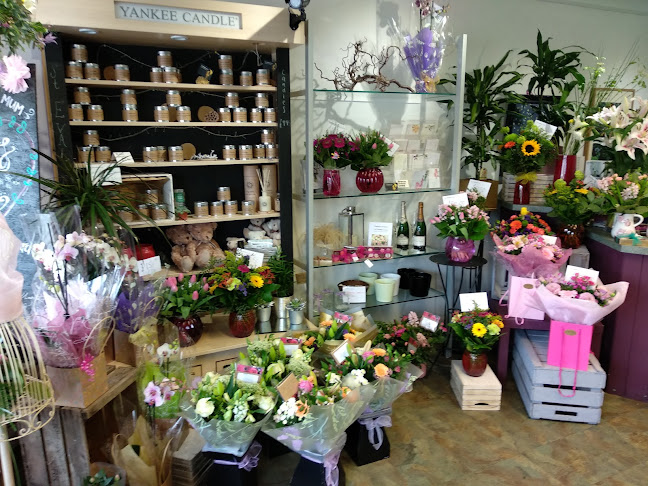 Reviews of Florists Bassett - The Flower Shop in Southampton in Southampton - Florist