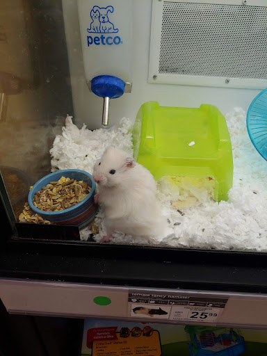 Pet Supply Store «Petco Animal Supplies», reviews and photos, 22000 Dulles Retail Plaza #110, Sterling, VA 20166, USA