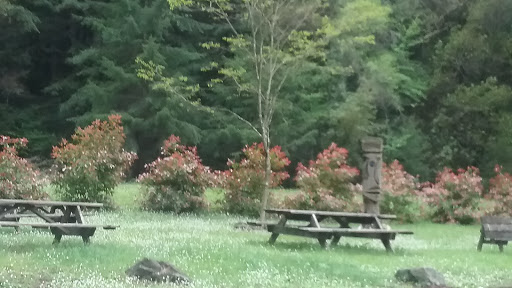 Grocery Store «Navarro General Store», reviews and photos, 231 Wendling St, Navarro, CA 95463, USA