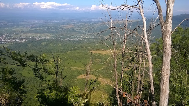 Sapanta Maramures - Muzeu