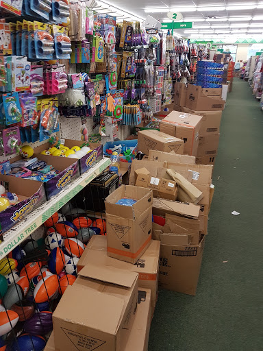 Dollar Store «Dollar Tree», reviews and photos, 21525 Village Lakes Shopping Center Dr, Land O Lakes, FL 34639, USA