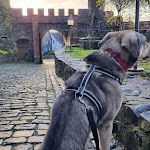 Photo n°1 de l'avis de Olaf. fait le 26/11/2023 à 20:31 sur le  Burg Staufenberg à Staufenberg