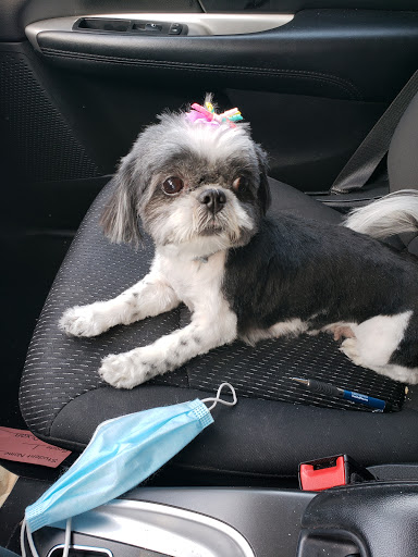 Pet Supply Store «PetSmart», reviews and photos, 5226 S College Rd, Wilmington, NC 28412, USA