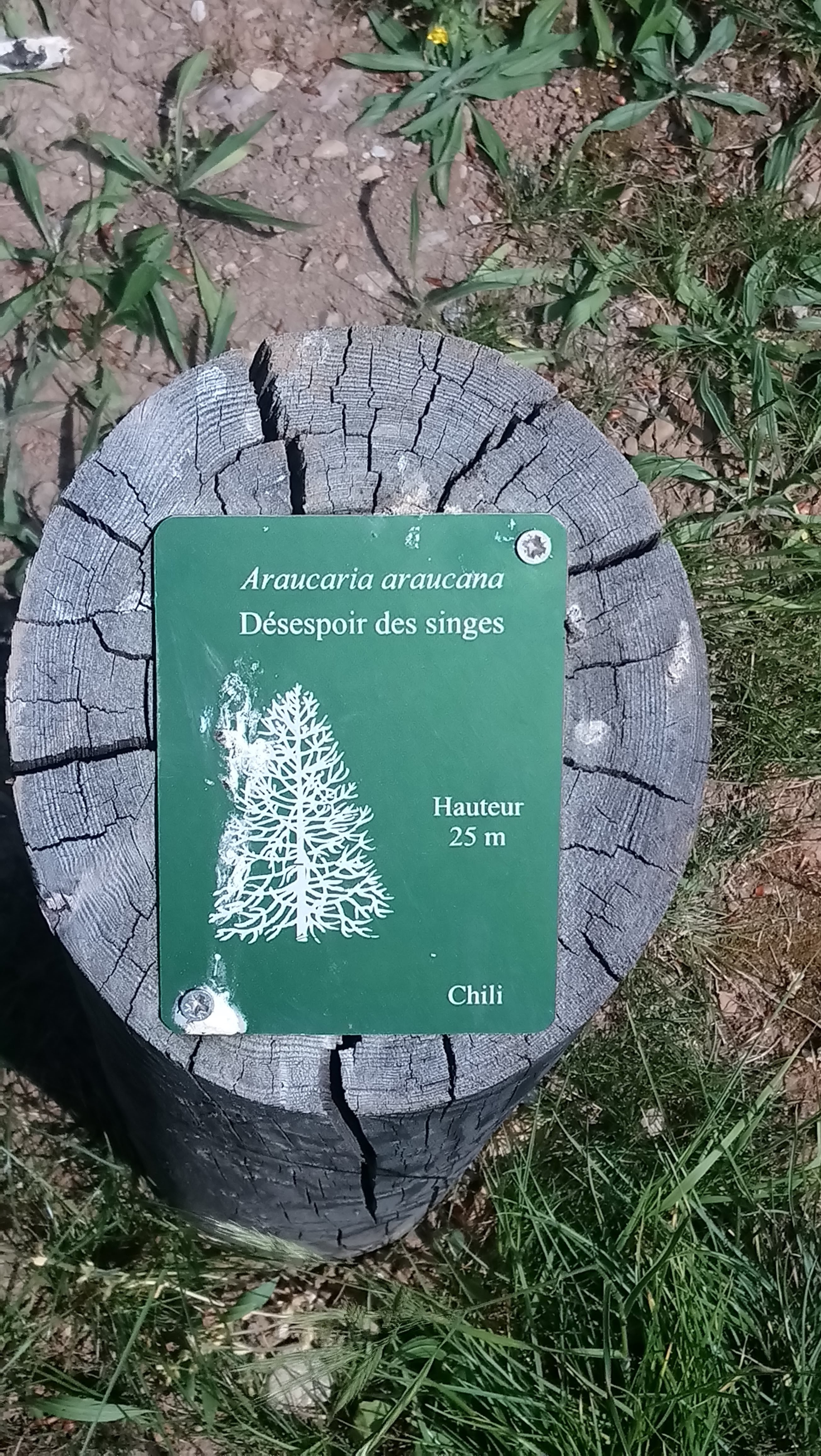 Photo n° 2 de l'avis de Magali.a fait le 08/05/2018 à 14:23