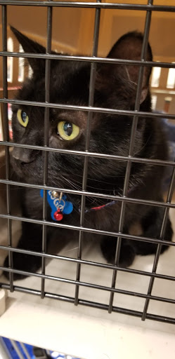 Pet Supply Store «PetSmart», reviews and photos, 70 Worcester-Providence Turnpike #240, Millbury, MA 01527, USA