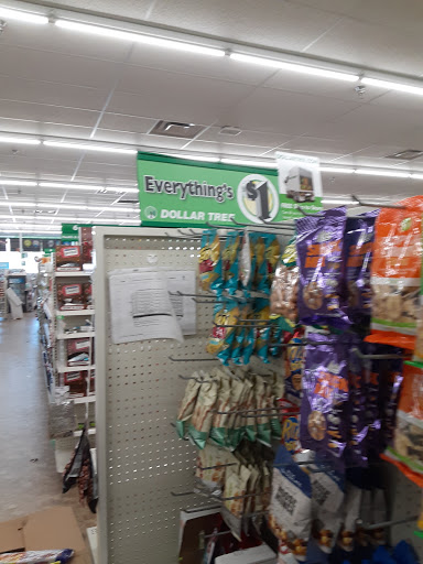 Dollar Tree image 6