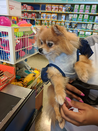 Pet Supply Store «PetSmart», reviews and photos, 1275 N Military Hwy, Norfolk, VA 23502, USA