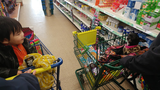 Dollar Store «Dollar Tree», reviews and photos, 111 S Black Horse Pike, Williamstown, NJ 08094, USA