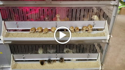 Farm Equipment Supplier «Columbia Farm Supply», reviews and photos, 170 Bear Creek Pike, Columbia, TN 38401, USA