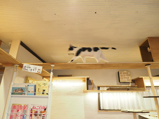 CAT'S INN TOKYO