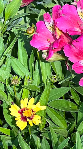Gardens of the World image