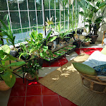 Photo n°36 de l'avis de Eugenio.a fait le 23/10/2021 à 14:04 sur le  Villa Solatia à Rettorgole