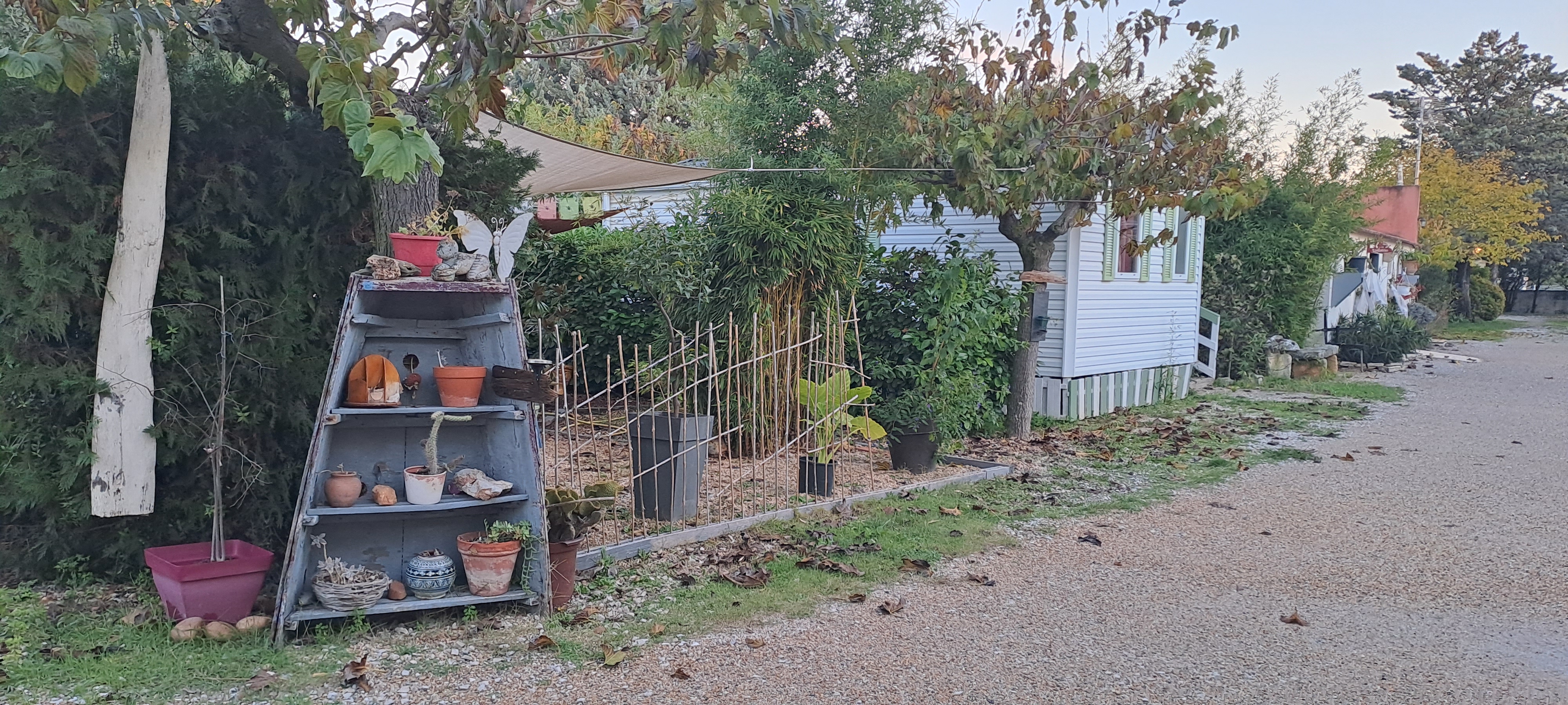 Photo n° 5 de l'avis de Vera.e fait le 11/01/2023 à 17:21