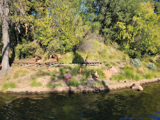 Tourist Attraction «Sailing Ship Columbia», reviews and photos, 1313 Frontierland, Anaheim, CA 92802, USA