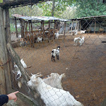 Photo n°6 de l'avis de Maria.r fait le 07/11/2021 à 19:54 sur le  Ristorante Il Cerqueto à Marzano di Nola