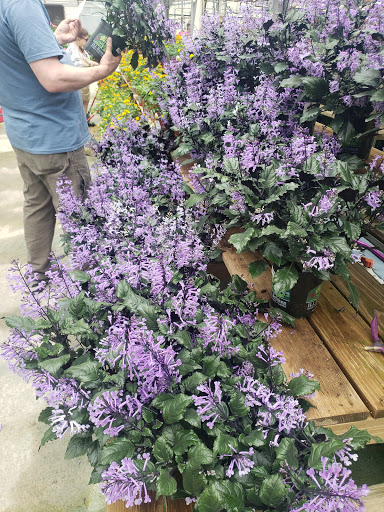 Garden Center «H J Benken Florist & Garden», reviews and photos, 6000 Plainfield Rd, Cincinnati, OH 45213, USA