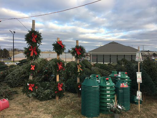 Paul's Christmas Tree Lots