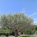 Photo n° 4 de l'avis de Laurent.a fait le 26/06/2022 à 12:43 pour McArthurGlen Provence - Village de Marques à Miramas