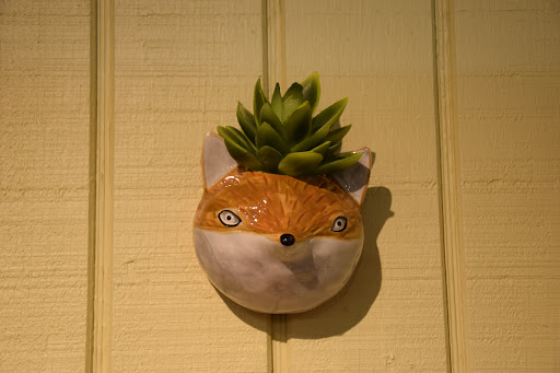 Plant Nursery «Potomac Petals and Plants», reviews and photos, 9545 River Rd, Rockville, MD 20854, USA