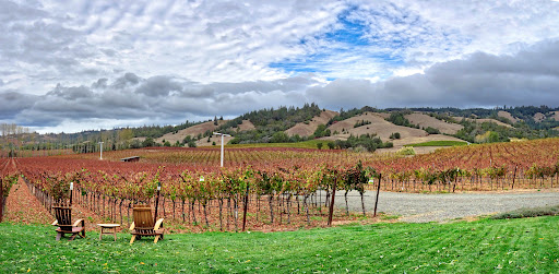Winery «Navarro Vineyards & Winery», reviews and photos, 5601 CA-128, Philo, CA 95466, USA