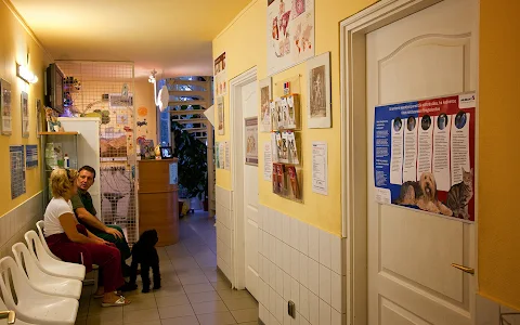 Small Animal Clinic image