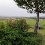 Photo n°5 de l'avis de Paolo.o fait le 14/06/2019 à 19:41 sur le  Ristorante Rosmarino à Montemassi