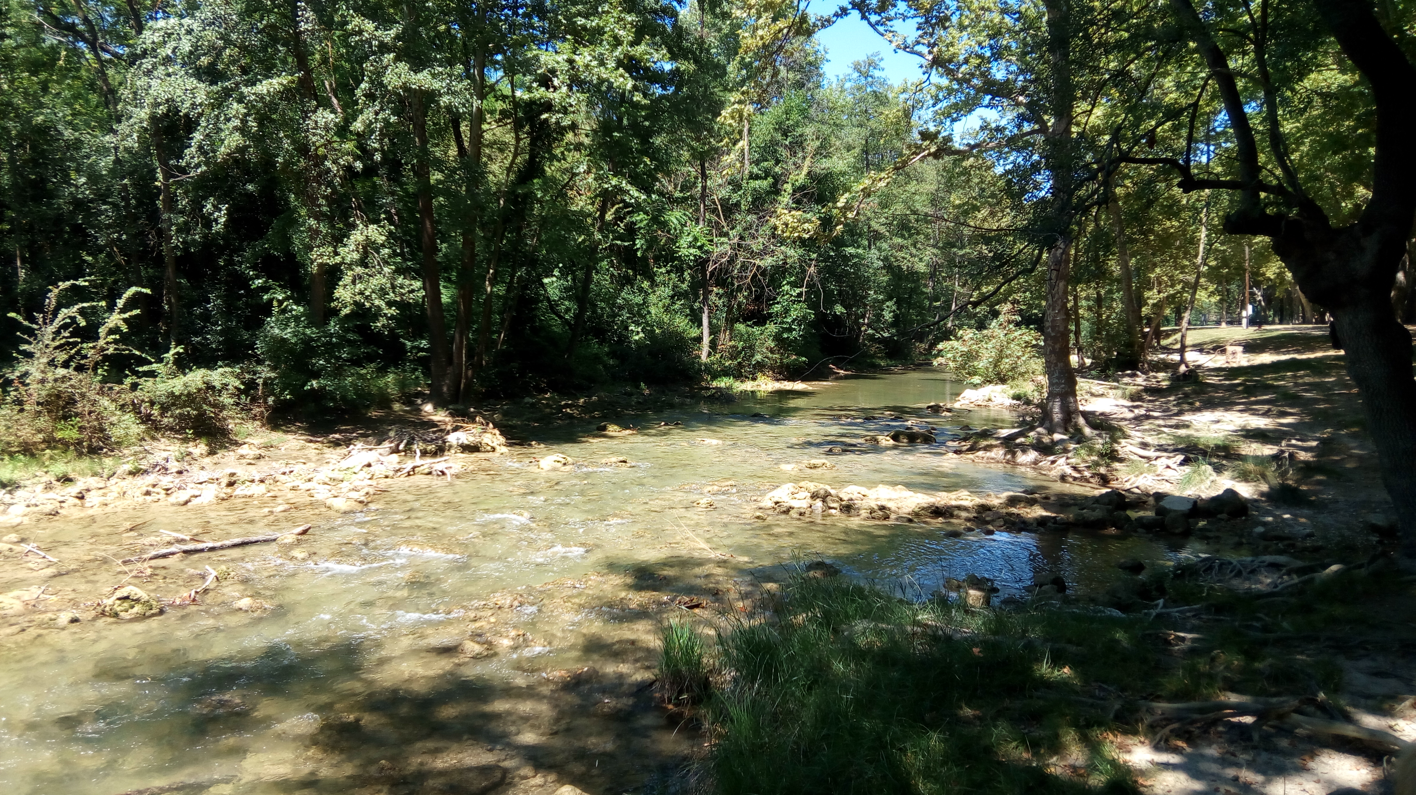 Photo n° 16 de l'avis de balades. fait le 11/07/2018 à 13:22
