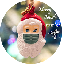 Hummingbird Insurance Gainesville FL - Photo 7 - Car repair in Gainesville, FL, Gainesville