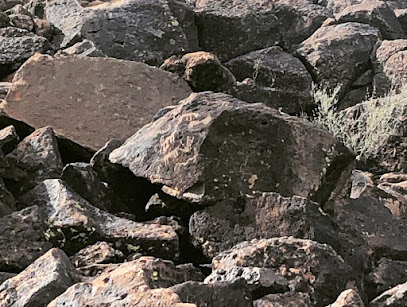 Deer Valley Petroglyph Preserve