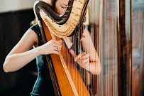 Hummingbird Harmonies - Harpist - Photo 3 - Car repair in , Raleigh