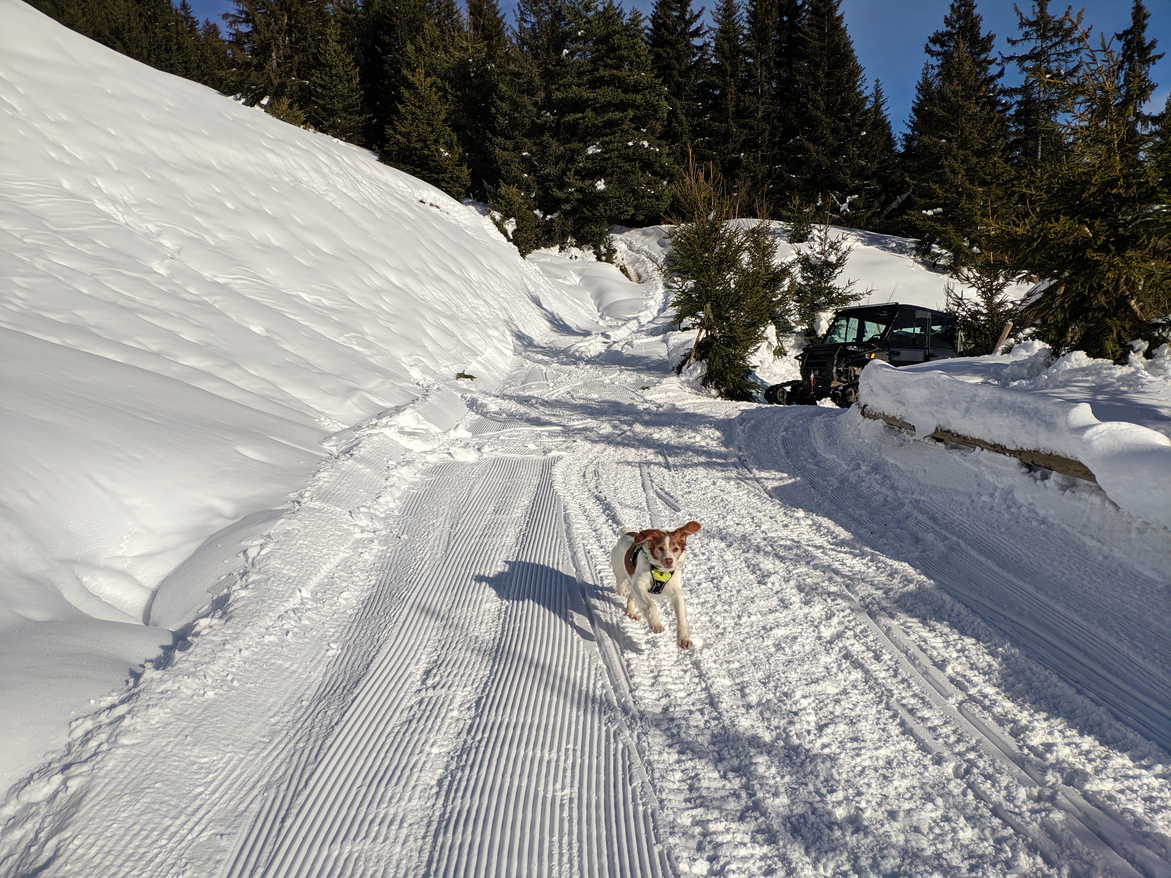 Photo n° 1 de l'avis de Cablex.o fait le 26/12/2019 à 11:03