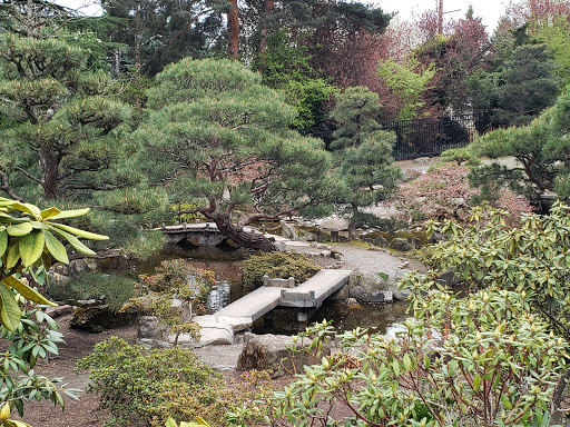 Community Center «SeaTac Community Center», reviews and photos, 13735 24th Ave S, SeaTac, WA 98168, USA