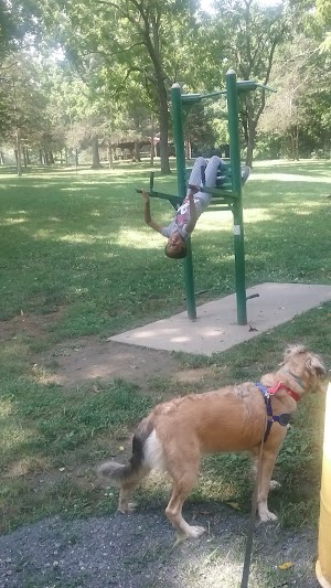 Hillandale Park - photo 94