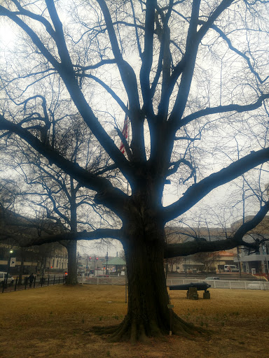 Museum «Old State House Museum», reviews and photos, 300 W Markham St, Little Rock, AR 72201, USA