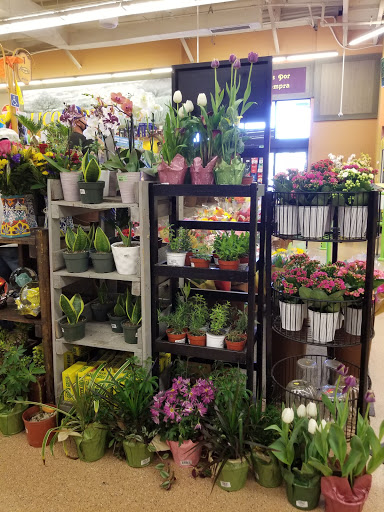 Grocery Store «Northgate Gonzalez Markets», reviews and photos, 10801 Prairie Ave, Inglewood, CA 90303, USA