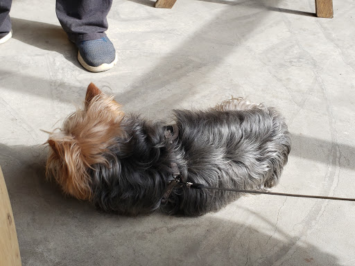 Pet Supply Store «Corralitos Feed & Pet Supplies INC», reviews and photos, 2895 Freedom Blvd # B, Watsonville, CA 95076, USA