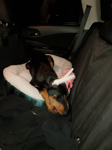 Pet Supply Store «Pet Supplies Plus», reviews and photos, 1411 S Stockton St, Lodi, CA 95240, USA