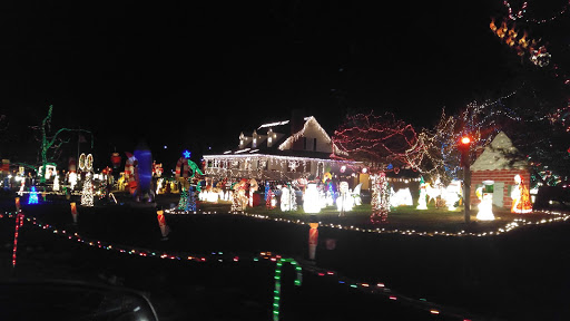 Tourist Attraction «Happyland Lights», reviews and photos, 5504 Huntingwood Dr, Raleigh, NC 27606, USA