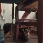 Photo n°1 de l'avis de Angelo. fait le 06/10/2018 à 08:14 sur le  Restaurante Pizzeria La Sosta à Pieve Fissiraga