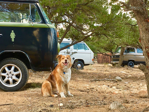 Buena Vista Veterinary Clinic image