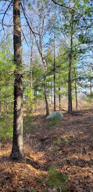 Peabody Town Forest - photo 34