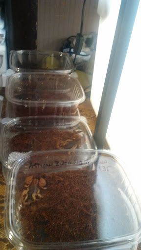 Reptile Store «Cleveland Reptile Show», reviews and photos, 17250 Hummel Rd, Brook Park, OH 44142, USA