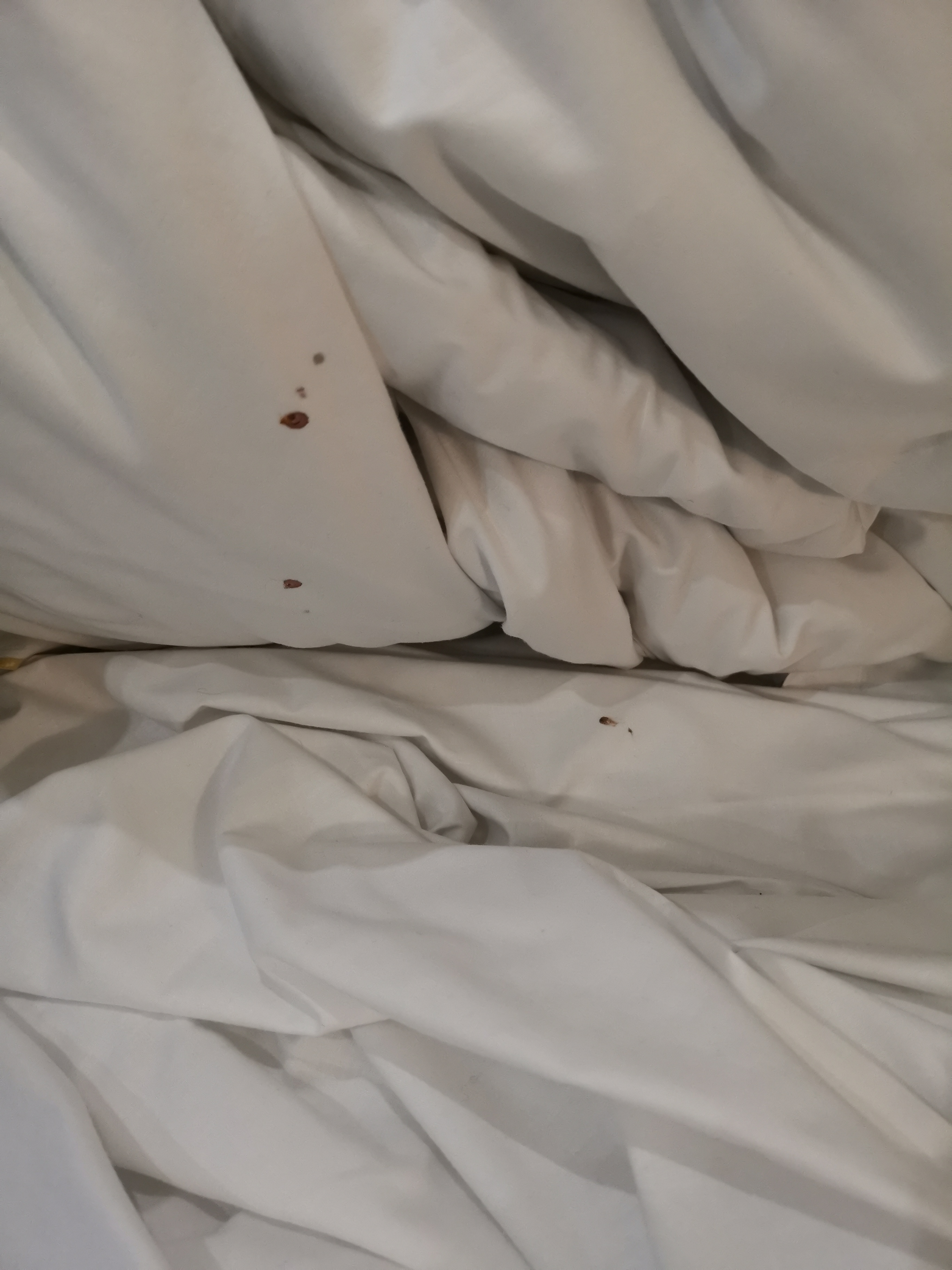Photo n° 2 de l'avis de Michelle.a fait le 14/01/2019 à 01:24