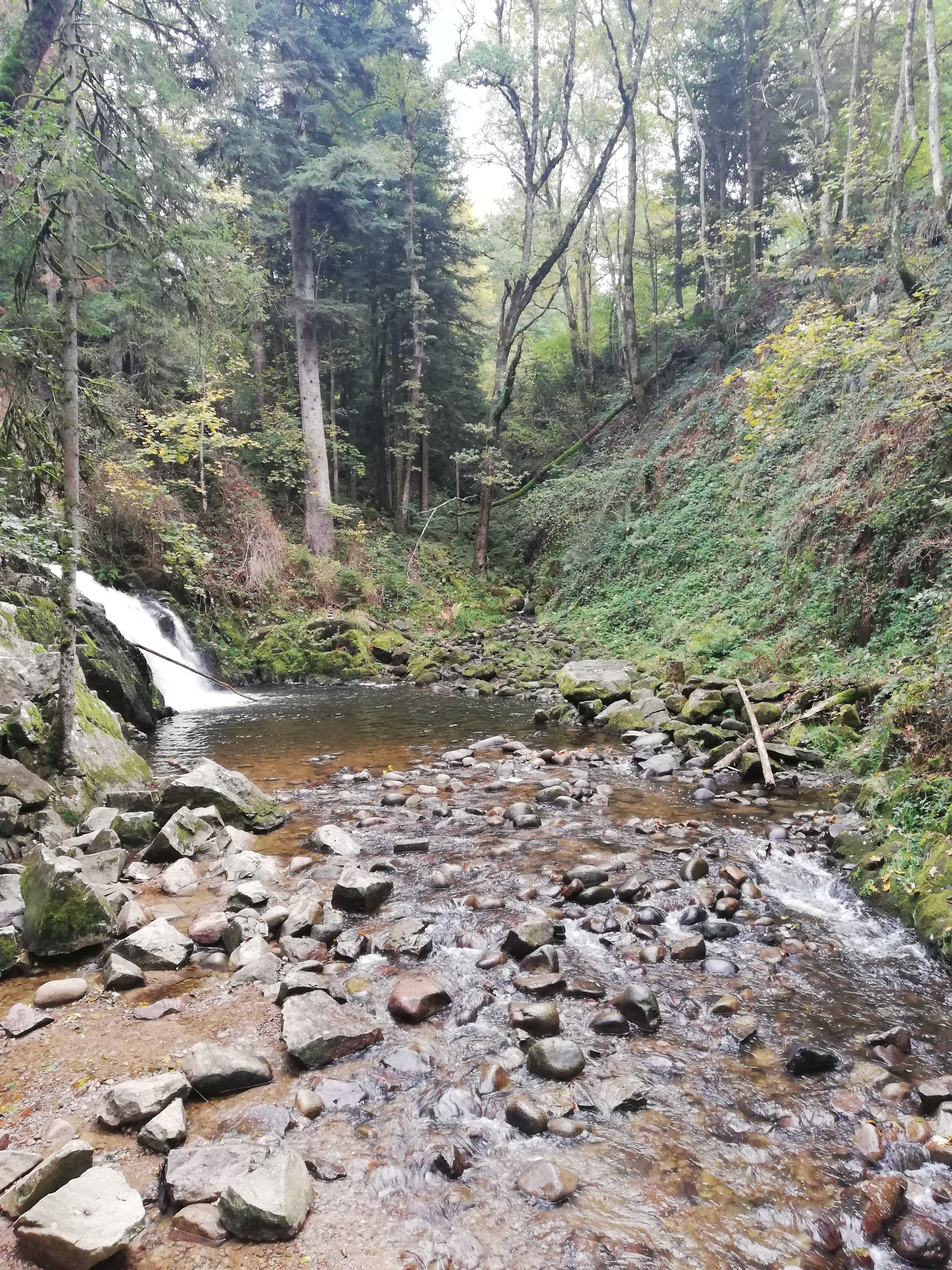 Photo n° 3 de l'avis de GERARD.I fait le 06/10/2022 à 16:01