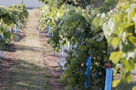 Bruners Farm and Winery