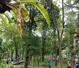 Tebet Eco Park photo
