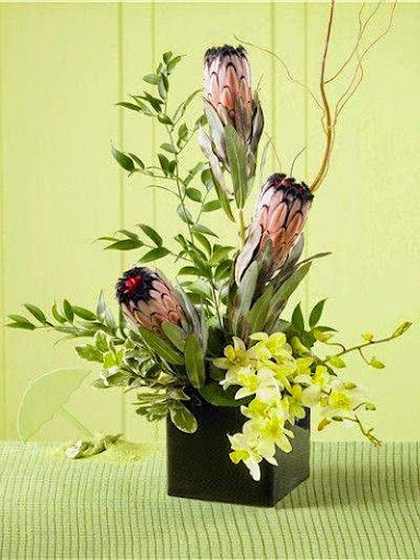 Florist «The Florist at Moana Nursery», reviews and photos, 1110 W Moana Ln, Reno, NV 89509, USA