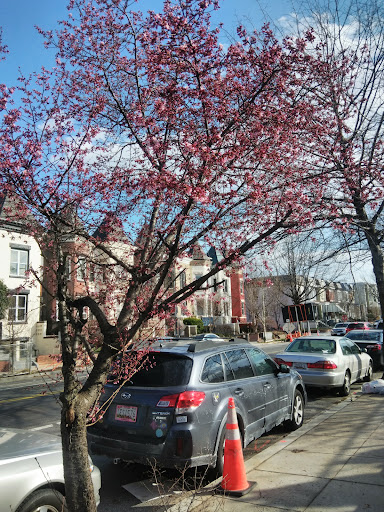 Hardware Store «Logan Hardware», reviews and photos, 1734 14th St NW, Washington, DC 20009, USA