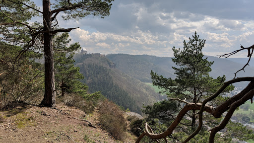 Küçük Resim 1