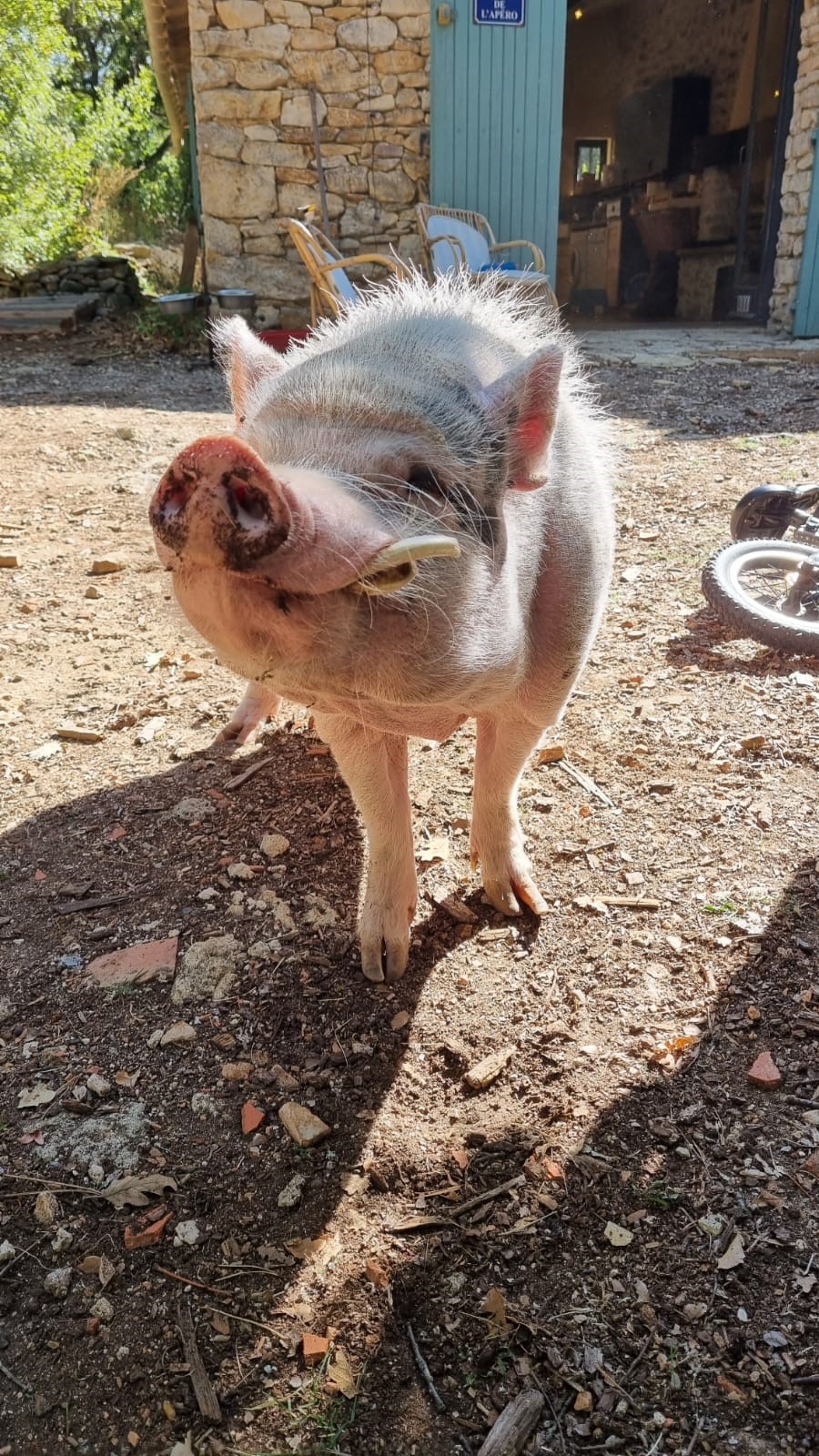 Photo n° 1 de l'avis de Amandine. fait le 03/10/2023 à 15:06